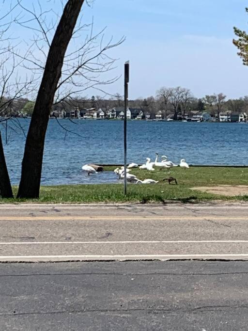 Charming And Happy Walled Lake Mi Cottage 诺维 外观 照片